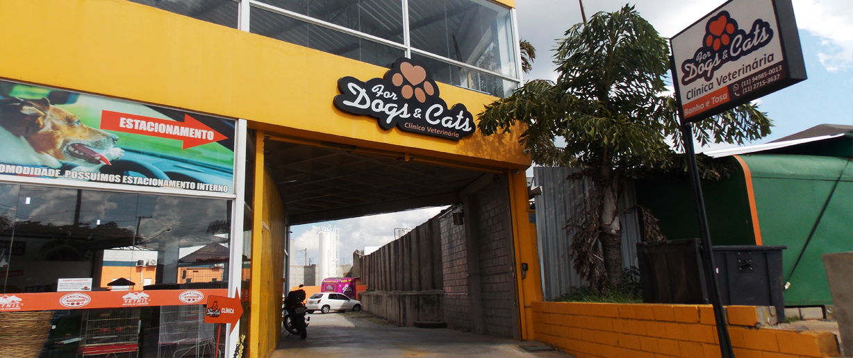 For Dogs e Cats 6.png