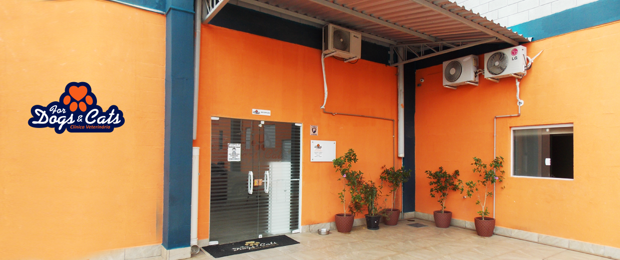 For Dogs e Cats 5.png