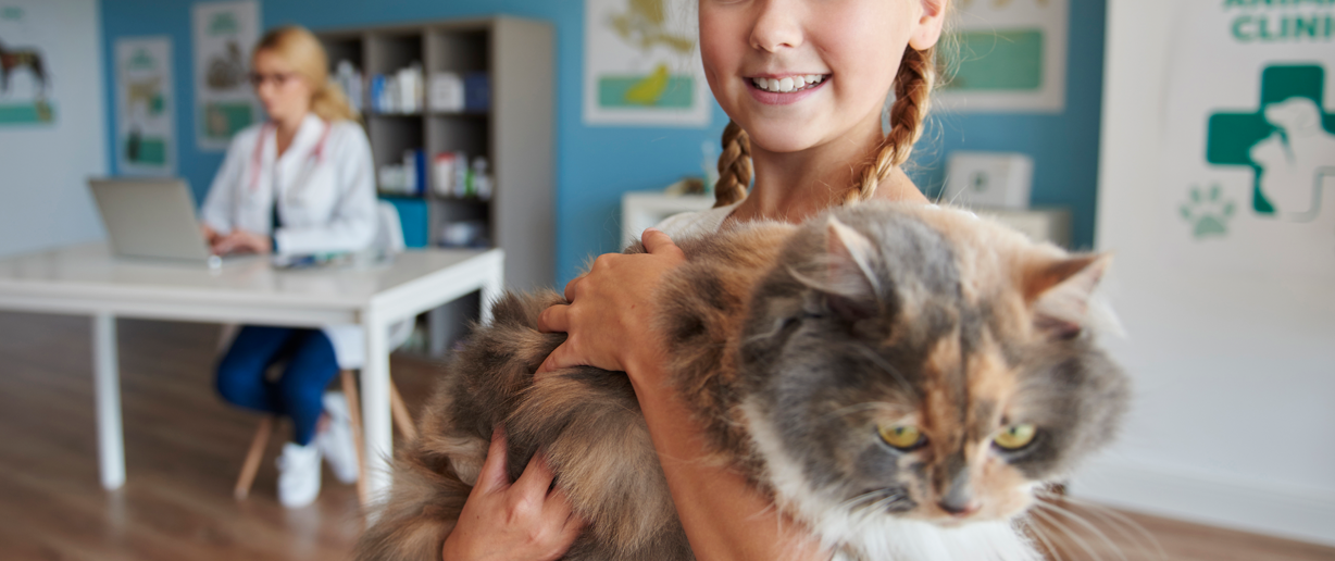 For Dogs e Cats 2.png